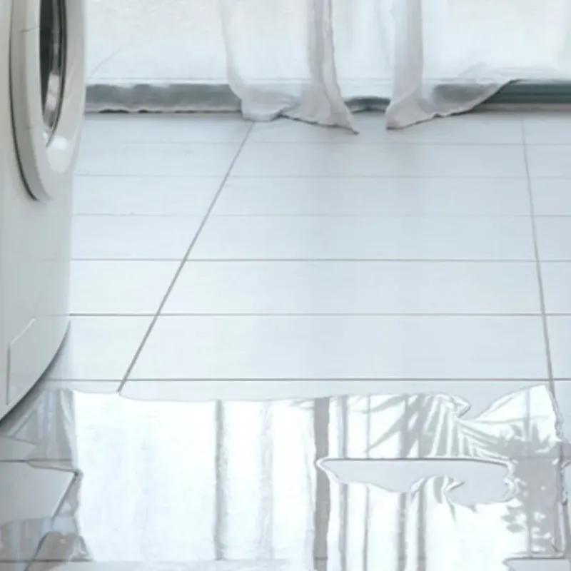 Appliance Leak Cleanup in Viera West, FL